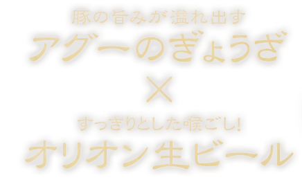 アグーのぎょうざ